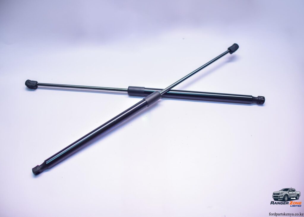 Bonnet Shocks