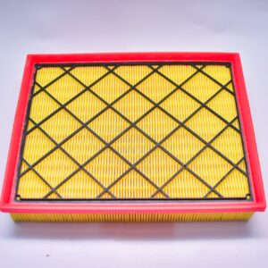 Air Filter - Everest / Raptor